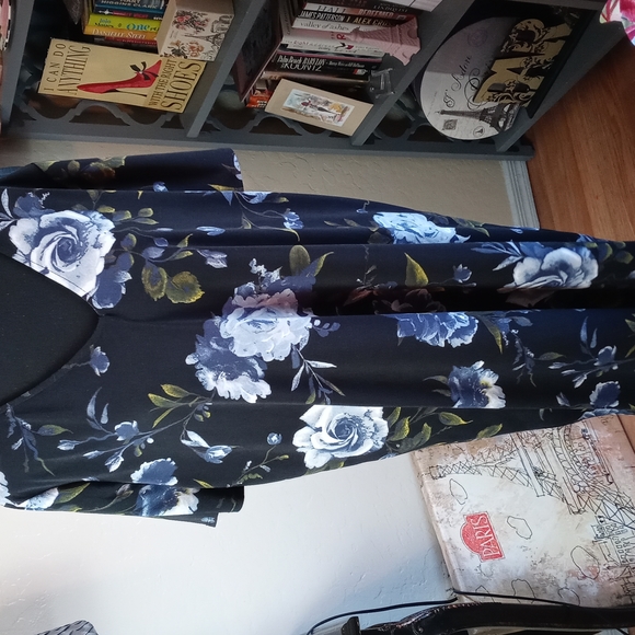 Bundle of Two Christian Siriano Plus Sizes Dresses - Picture 6 of 12